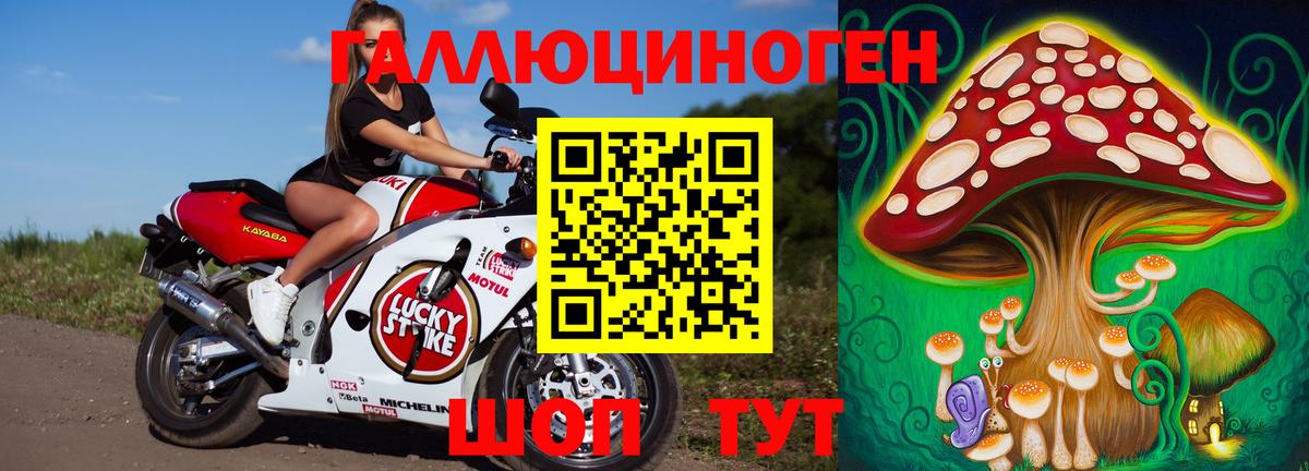 Псилоцибиновые грибы мицелий  Вход с VPN  где купить наркоту  Иркутск 